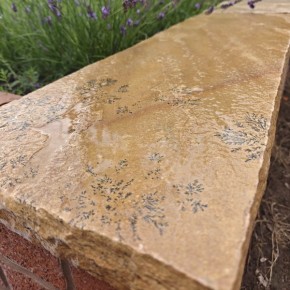 Fossil Mint coping stone 900x300