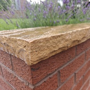 Fossil Mint coping stone 900x150x50