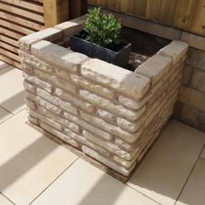 Fossil Mint Walling