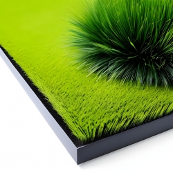A Green Carpet All Year Round: How to Lay Artificial Grass